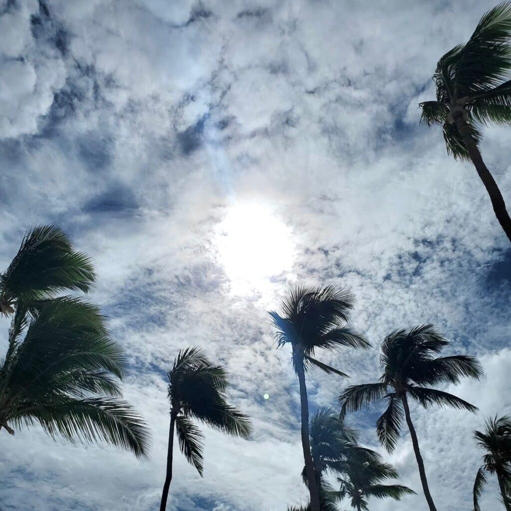 clouds-trees